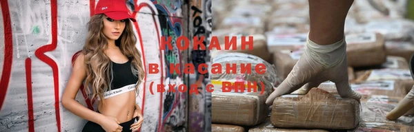 дживик Аркадак