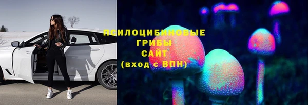 соль ск Армянск