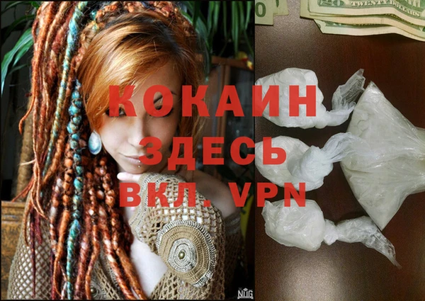 дживик Аркадак
