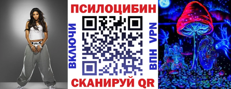 где купить наркотик  Новоалександровск  Галлюциногенные грибы Psilocybine cubensis 